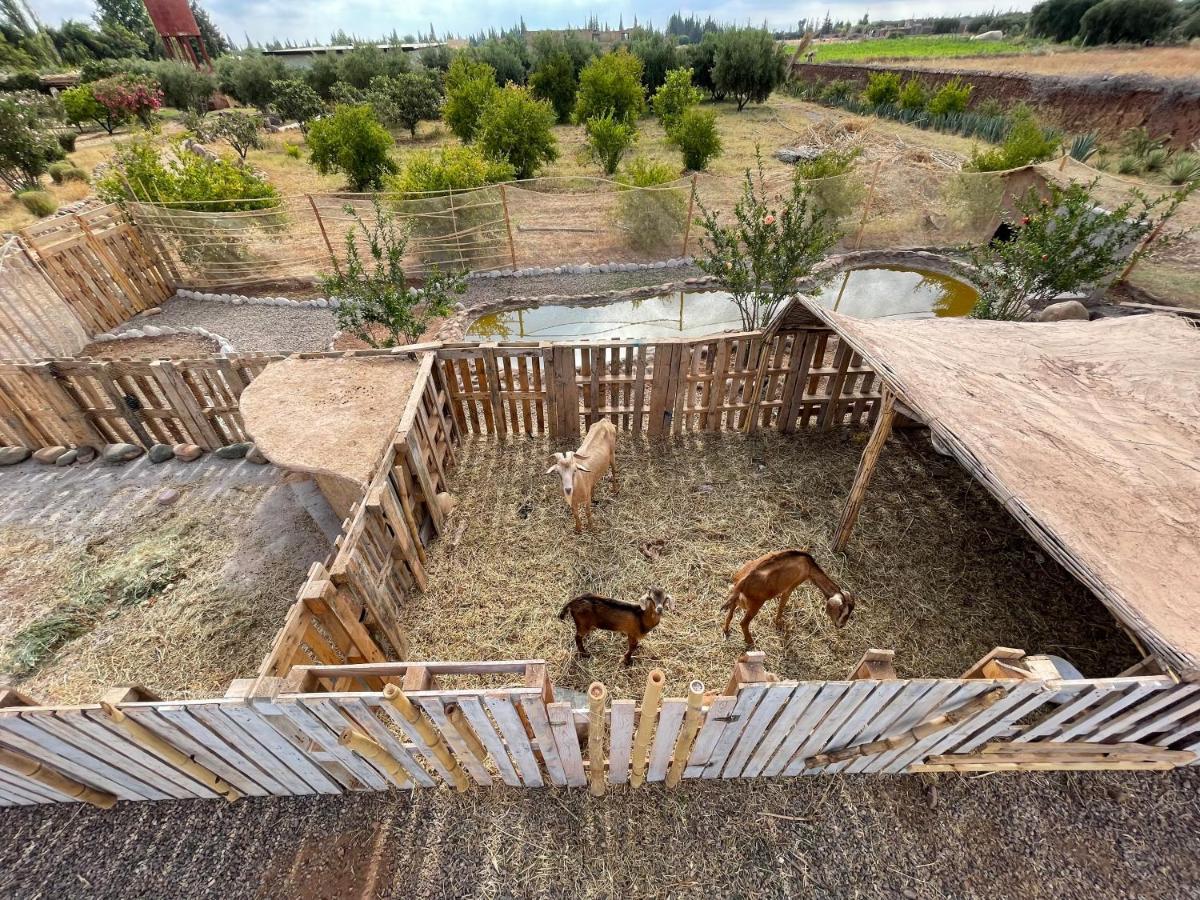 Jnan Lotf Marrakech Hotel El Harkat Exterior photo